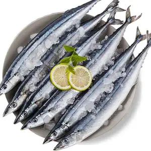 fish saury, fish saury Suppliers and Manufacturers at