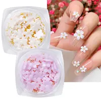 1 caja de diamantes de imitación para decoración de uñas, pegatinas japonesas 3d para decoración de uñas, flor pequeña, cinco pétalos de resina con bola de acero pequeña