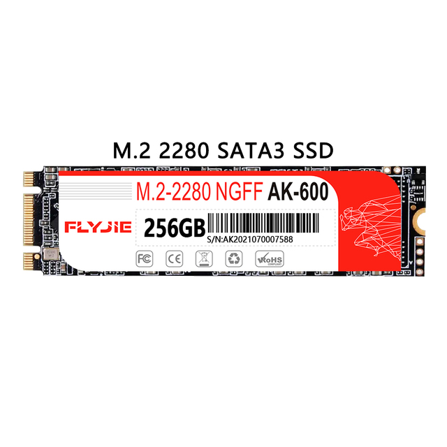 Flyjie SSD M2 NGFF 2280 64GB 128GB 256GB 512GB 1TB 2TB 4TB M.2 SATA for Laptop and Desktop