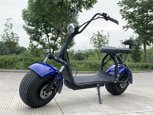 Upgrade Off Road Scooters 35ah 2400w 11 Dual Motor With Mini-motor Controller - Product Image 6