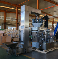 Sac automatique formant la machine à emballer remplissante de cachetage pour les dates rouges avec l'excellente représentation
