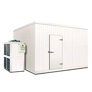 冷冻容器20英尺冷藏室冷库仓库出售设备