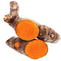 Approvisionnement d'usine de haute qualité meilleur prix extrait de curcuma 98% poudre de curcumine 100% extrait de curcuma naturel 95% poudre de curcumine