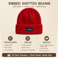 Bonnet tricoté personnalisé, côtelé, à revers, chaud, extensible, taille unique, hiver, automne, extérieur, décontracté, unisexe, OEM, vente en gros, faible MOQ
