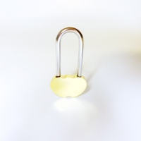 Cadenas d'amour en forme de double cœur, vente en gros personnalisée, design unique pour une sécurité personnalisée