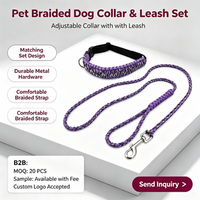 Ensemble de colliers et de laisses pour chiens en paracorde tressé robuste, corde de promenade réglable pour chiens de petite, moyenne et grande taille, OEM