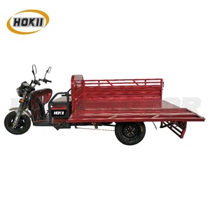 Tricycle à benne basculante électrique à plat personnalisable à trois roues <span class=keywords><strong>TR</strong></span> avec certificat <span class=keywords><strong>CE</strong></span> - Product Image 5