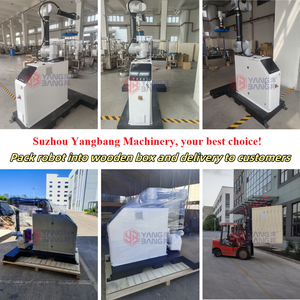 Robot Paletizador YB-MD35F con Brazo y Pinza para Botellas, Bolsas, Cajas y Cartones, Máquina Paletizadora Robótica para Línea de Producción - Product Image 6