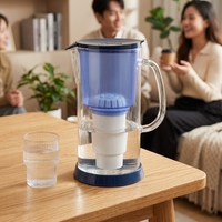 Carafe filtrante à eau portable en verre et acier inoxydable de 3,3 L avec filtre à charbon actif pour le camping, la randonnée, les voyages et l'usage domestique