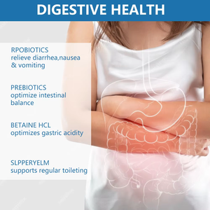 Hot Selling Daily Probiotics Capsules Dietary <b>Supplement</b> for Boost Immune System and Promote Digestive Health for Adult - Product Image 3