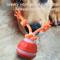 Jouet pour chien électrique automatique rechargeable à succès, moderne, interactif, avec corde, pour le grincement des dents, jouet intelligent pour animaux de compagnie, mouvement tendance