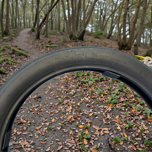 Precio barato al por mayor <span class=keywords><strong>MOTOCROSS</strong></span> 3,00-21 80/100-21 Neumático de motocicleta - Product Image 4