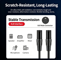Câble d'extension audio XLR mâle-mâle HAILE, câble de microphone XLR équilibré pour table de mixage, haut-parleur, amplificateur, noir 3M