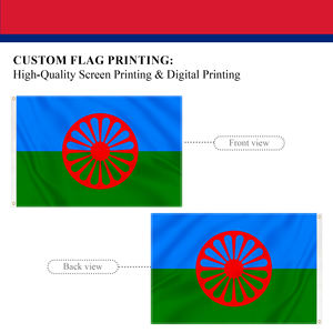 <span class=keywords><strong>Bandera</strong></span> <span class=keywords><strong>Romani</strong></span> de 3x5 pies, <span class=keywords><strong>Bandera</strong></span> Nacional de Poliéster para Exteriores con Ojales de Latón, Impresión Personalizada para Eventos, Escuelas y Uso Gubernamental - Product Image 3