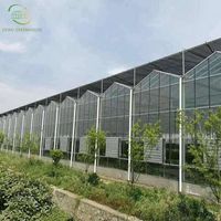 Serre agricole/commerciale multi-voûtes de 10 000 m² avec film PE/verre, grande serre agricole en plastique, grand miroir pour ferme, 275 g