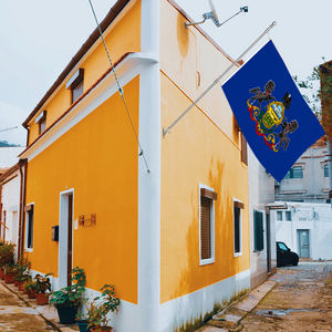 专业抗褪色联邦国旗人造丝CMYK抗褪色宾夕法尼亚州国旗 - Product Image 3