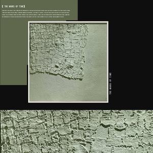 Art mural 3D Wabi Sabi, décoration personnalisée pour la maison, peinture à l'huile moderne avec cadre, toile texturée, œuvre d'art pour projet de décoration murale commerciale - Product Image 5