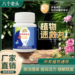 Engrais granulaire aux huit souches d'anciens végétaux pour plantes en pot, légumes verts, fleurs, enracinement et renforcement des semis - Product Image 4