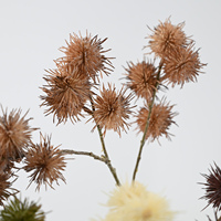Bouquet de fleurs artificielles multicolores de 68 cm, branches de gazon-épineux, fausses fleurs séchées pour la décoration de la maison, des mariages, des fêtes et des centres de table