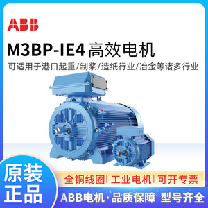 มอเตอร์แบบอะซิงโครนัส Abb M3bp100lkb4 3Kw 4 โพล 380V AC สำหรับอุปกรณ์เครื่องจักรกล - Product Image 5