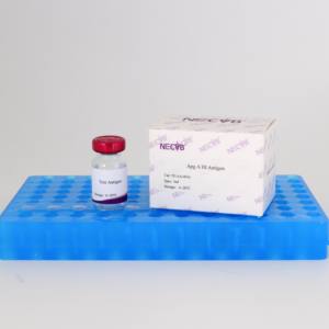 Avibacterium paragallinarum Type A Test d'inhibition de l'hémagglutination (HI) Antigène-Pour le diagnostic infectieux de Coryza de volaille - Product Image 5