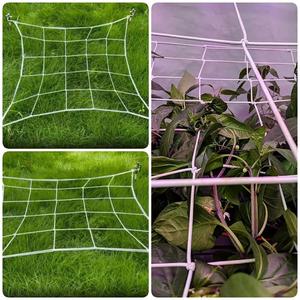 Redes de Soporte para Plantas, Red de Soporte para Ramas, <span class=keywords><strong>Malla</strong></span> Elástica de Látex para Jardín, Huerto, Cultivo de Vegetales, Invernadero - Product Image 6
