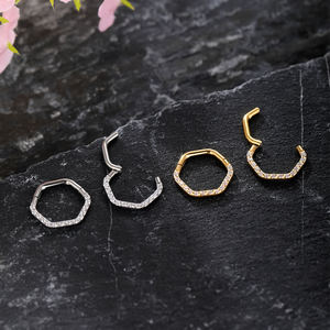 Moda implante grado titanio alta calidad precisión con bisagras hexágono segmento anillo nariz tabique <span class=keywords><strong>Piercings</strong></span> con circón - Product Image 3