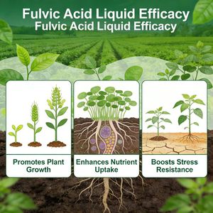 Engrais liquide organique à libération rapide 100% soluble dans l'eau, 40-45% d'acide fulvique, conditionneur de sol, promoteur de croissance des plantes - Product Image 5