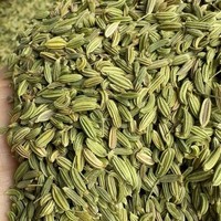 Graines de fenouil brutes de qualité export premium, séchées naturellement, épice pure pour assaisonnement de restaurant, approvisionnement en vrac
