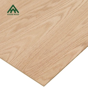 Mejor venta de madera contrachapada laminada de 18mm a prueba de agua 4*8 pies proveedor de madera contrachapada Marina <span class=keywords><strong>precio</strong></span> barato madera contrachapada de <span class=keywords><strong>abedul</strong></span> - Product Image 2