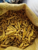 Curcuma Séché de Haute Qualité, Bâtonnets de Curcuma Séché, Épice de Curcuma, Curcuma Gingembre