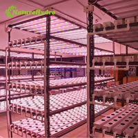 Accessoires de serre de système hydroponique à canal Nft en PVC pour l'agriculture verticale personnalisée