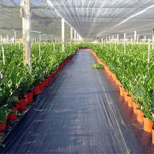 1*100m rouleau d'usine direct agriculture contrôle des mauvaises herbes tissu tissé tapis anti herbe bloc <span class=keywords><strong>couvre</strong></span>-<span class=keywords><strong>sol</strong></span> - Product Image 5