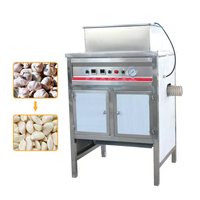 Machine à éplucher l'ail séché TCA 1000 kg/h sus304, ligne de production de gousses d'ail
