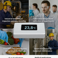 Termometer Digital portabel kustom, Sensor suhu daya baterai Lithium tampilan OLED akurasi tinggi PT100