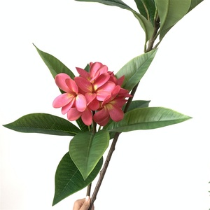 Haute qualité 3D imprimé artificiel Plumeria Rubra fleurs <span class=keywords><strong>frangipanier</strong></span> <span class=keywords><strong>frangipane</strong></span> avec tige pour mariage noël décoration de la maison - Product Image 5