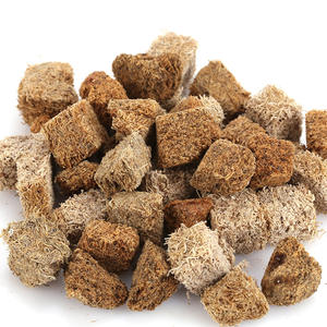 छोटे नस्लों के लिए सूखे रक्तकृमि उच्च प्रोटीन मछली भोजन पाचन स्वास्थ्य थोक थोक - Product Image 4