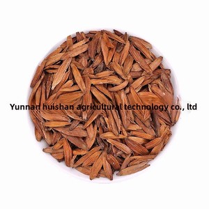 Venta al por mayor a granel de Tianzishu semillas de fruta de castaña de agua árbol-estilo crudo seco con proceso de secado de anuncios - Product Image 5
