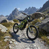 2021 bicyclette électrique la plus populaire bicileta cadre de bicyclette électrique 500W VTT électrique entièrement suspendu
