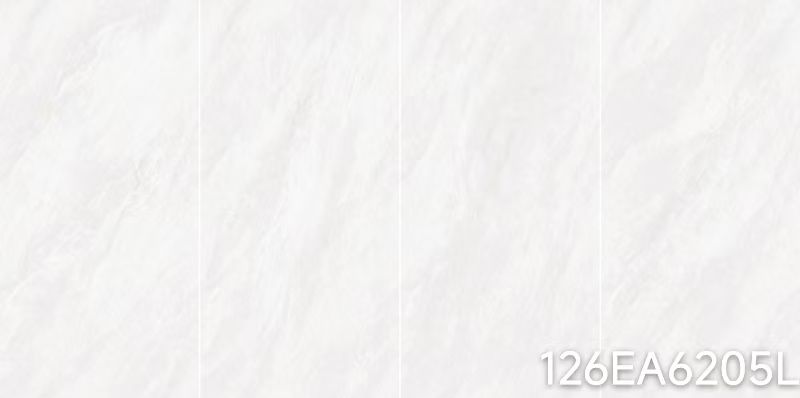 126EA6205L   126EA6205L   126EA6205L