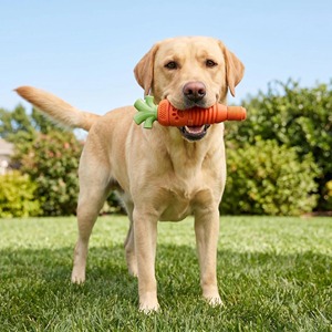 Jouets pour chiens résistants personnalisés pour les mâchoires agressives, races moyennes à grandes, jouet à mâcher dentaire aromatisé au bacon pour lutter contre l'ennui - Product Image 6