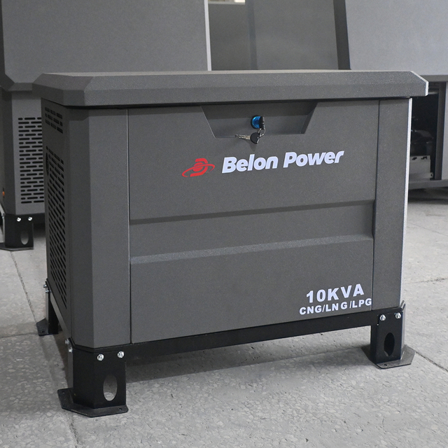 10KW-30KW Portable Tri-Fuel Generator LPG/CNG/LNG ATS Ready 3 Phase Long Service Life Prime Power