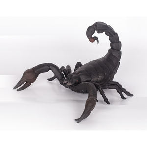 Jouet en plastique <span class=keywords><strong>scorpion</strong></span> TPR pour enfants, série d'animaux arthropodes réalistes en 3D, matériau doux respectueux de l'environnement - Product Image 2