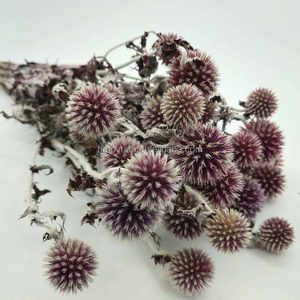 D050880 Boules de fleurs séchées naturelles d'éryngium (<span class=keywords><strong>Eryngium</strong></span> <span class=keywords><strong>Foetidum</strong></span>) et de thistle, fleurs séchées et stabilisées pour bouquet de mariage - Product Image 1