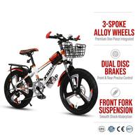 Vélo Enfant Monovitesse 16, 18, 20, 22 Pouces pour Garçons de 10 à 13 Ans – Vente en Gros Usine