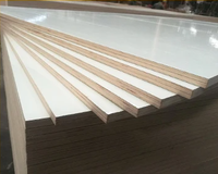 Contreplaqué stratifié HPL de qualité armoire ignifuge et résistant au feu 1220x2440mm