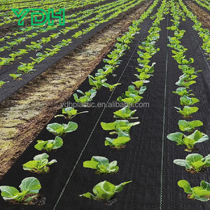 Tapis <span class=keywords><strong>anti</strong></span>-<span class=keywords><strong>herbe</strong></span> humide sur mesure pour le contrôle des mauvaises herbes Tissu géotextile tissé perméable à l'eau Plastique agricole UV - Product Image 1