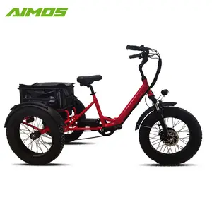 Neues Design Pedal Assist Fat Tire Cargo Elektrisches Dreirad 3 drei Räder