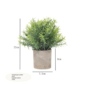 Plantes artificielles <span class=keywords><strong>en</strong></span> <span class=keywords><strong>eucalyptus</strong></span> <span class=keywords><strong>en</strong></span> <span class=keywords><strong>pot</strong></span>, <span class=keywords><strong>mini</strong></span> plantes décoratives écologiques, haute simulation, pour mariage et décoration intérieure - Product Image 6