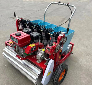 Sembradora de Ajo de 3 Filas de Empuje Manual a Gasolina de Alta Eficiencia con <span class=keywords><strong>Siembra</strong></span> Simultánea en Tres Líneas para Mejorar la Producción Diaria - Product Image 5